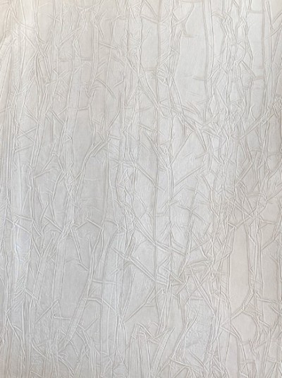 CAPRI-3460 (Custom)-thumb