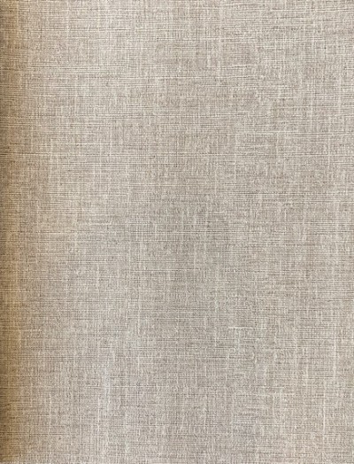 PIAZZA GRANDE-8501 (Custom)-thumb