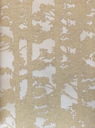 PIAZZA GRANDE-8539 (Custom)-thumb